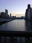 �̿����������塡���͡�����¾