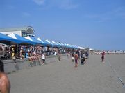 �ӡ����եåȥܡ��롡in������