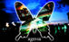  love ageHa