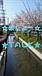 ۤ硼TALK