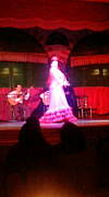 F��flamenco