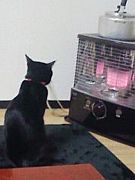 ���ʥå���ƣ