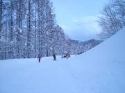 winter snow life�����ĺ���2007