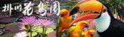 掛川花鳥園が大好きです