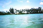 COCONUTS ģңɣ֣