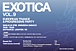 Trance & Prog Party "Exotica"