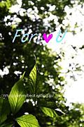 ��or U