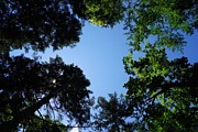 気まぐれ登山部