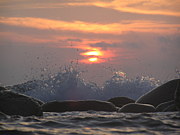 �����ӥ�ŷ��IN��RDCȬ����