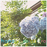 hana������̿�����