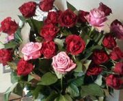 Elika���޲֡�