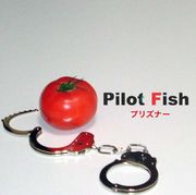 Pilot Fish