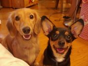 血液型Ｏ型の人★