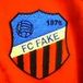 ✿ฺ旧FC FAKE