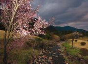 ゴルフに行こう！千葉中心部