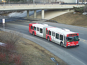 �����λԥХ����ϲ�Ŵ  transit