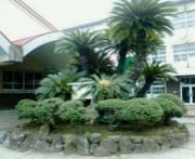 �䲬�쾮�ع���