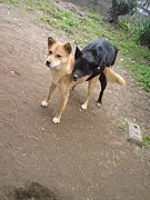 �줷���Ȥ��������Ǿ���ڤ�