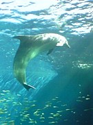 ����ʡ�㥫��å�H23.����������