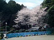 �������οͽ��ޤ졼!