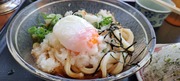 ɤ饤