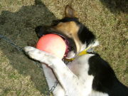 ����͎ߤá�