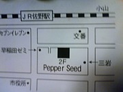 Pepper Seed