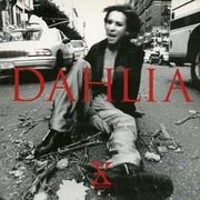 DAHLIA X-JAPAN