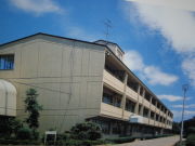 ���һ�Ω�Ŀ����ع�