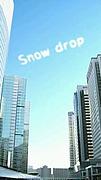 ♪Snow drop♪