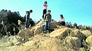 Shake Sound Factory