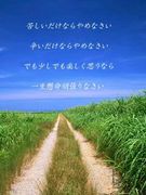 ��*1986ǯ11��14�����ޤ�*��