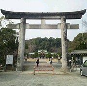 Ĺ�긩������