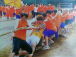 オレンジ組(柏陽1999年度体育祭)