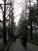 �кѳ���������