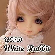 SD White Rabbit 