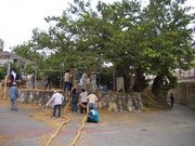 沖縄の集落