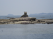 佐久島〜島を出て、島を見つめる