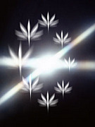 УƣУơ