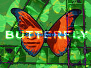 Butterfly (DDR)