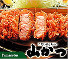 ġʻΤУӡ
