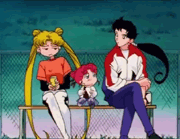 �����ܤ�ʹ���衪