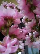 �������ꤤ��