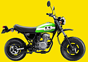 沖縄の原付き乗り バイク