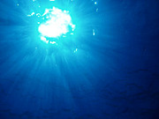 �ǡ�BEST OF DIVING PLACE�ڹ�