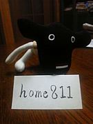 home 811