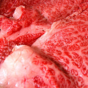 生肉食研究会(好き)