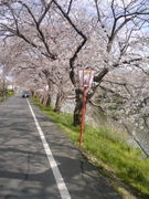 ������餯