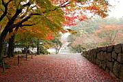 京都の四季