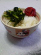 ����ʪ�繥������ν��ޤ��